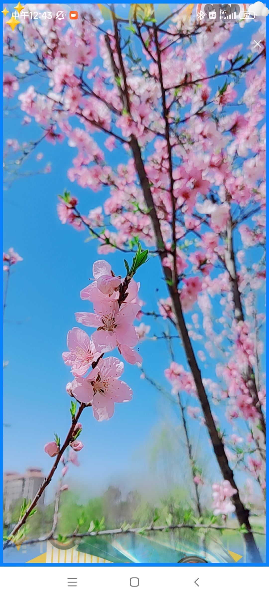 婷婷💕感恩有你陪伴的图片