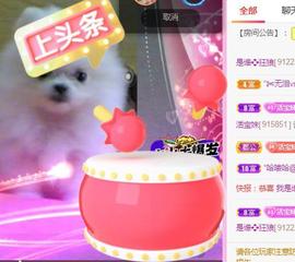 💓小香猪💓主播照片