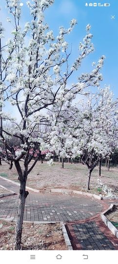 小芳，🌸减肥打卡主播照片