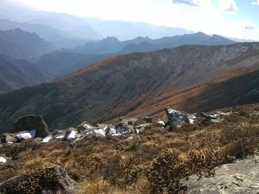 不许揪我的小耳朵的主播照片