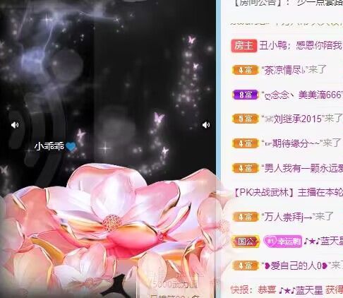 丑小鸭💞愿有一束光的图片