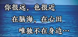 丑小鸭🍑愿有一束光主播照片