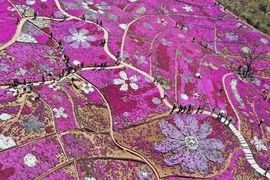 超持久“桑拿天”来了主播照片