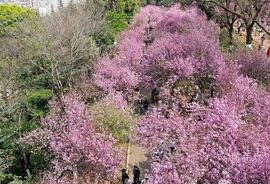 September★主播照片