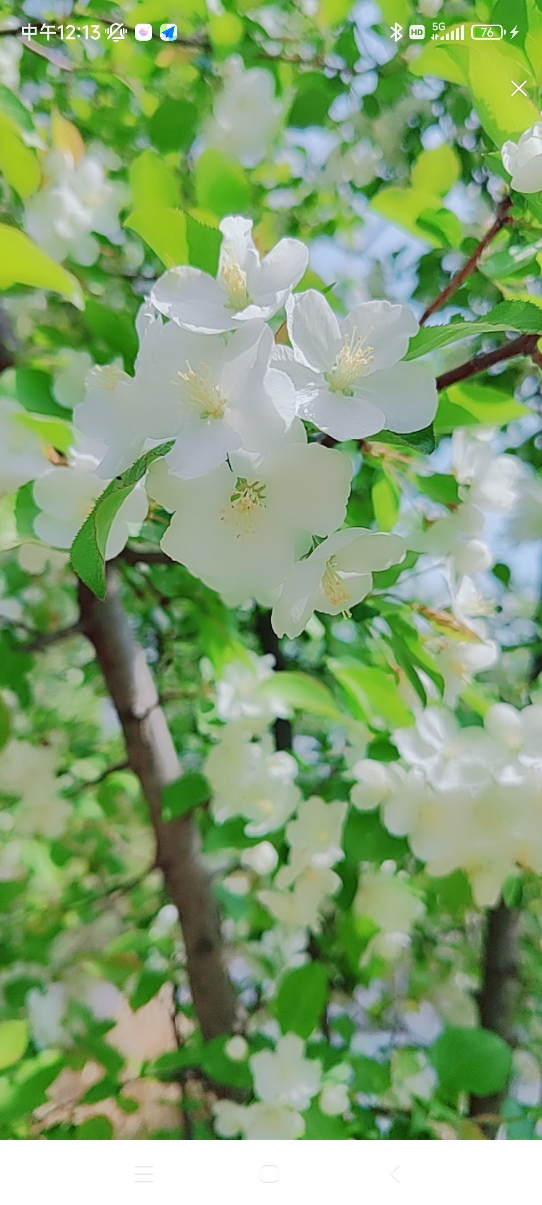 婷婷💕感恩有你陪伴的图片