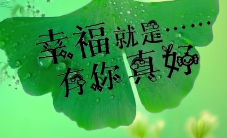 丑小鸭💞愿有一束光的图片