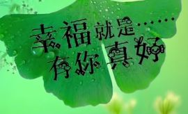 丑小鸭🍑愿有一束光主播照片