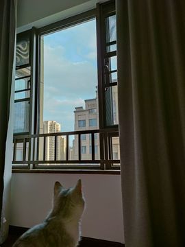 吴小优主播照片