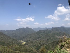 张张美人好好播主播照片