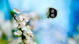 陌上╰.╯花开ღ主播照片