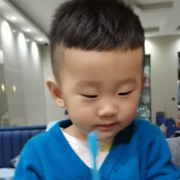 乐乐zjll