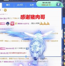 金麒麟安静唱歌🎤主播照片