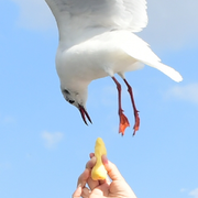 ✨如果💫半生缘✨