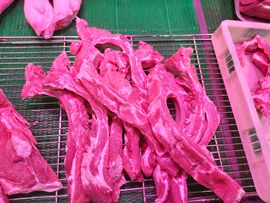梁嘉威粥铺主播照片