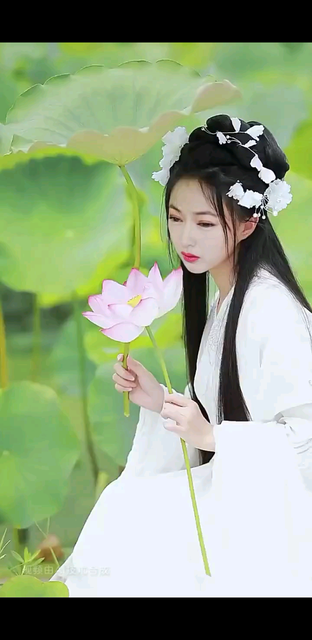 风景如画吗😁