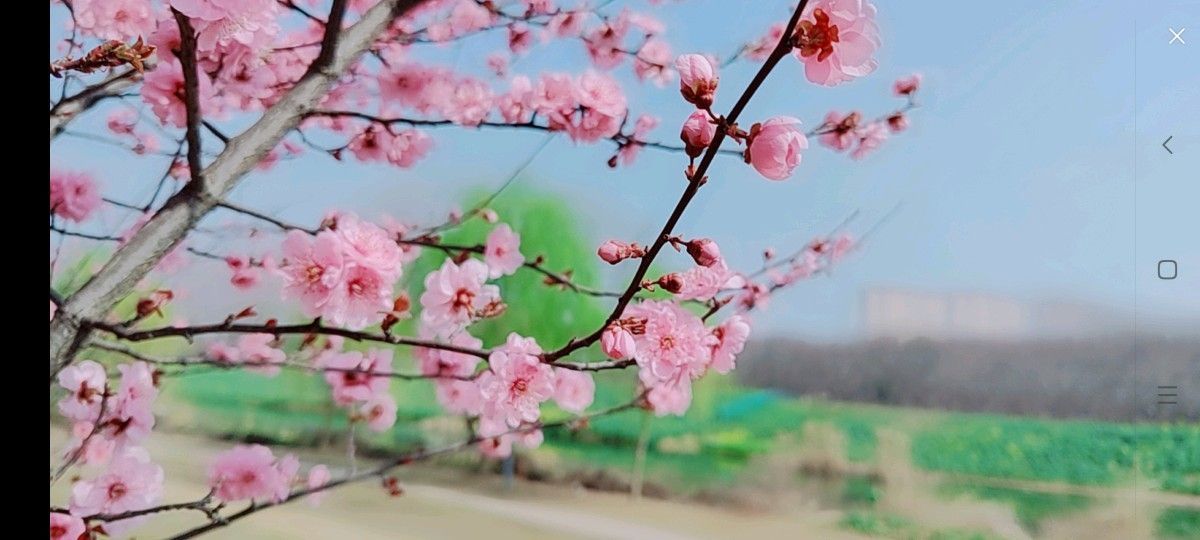 婷婷💕感恩有你陪伴的图片