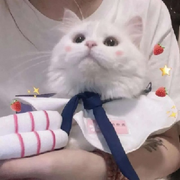 小利利x的头像