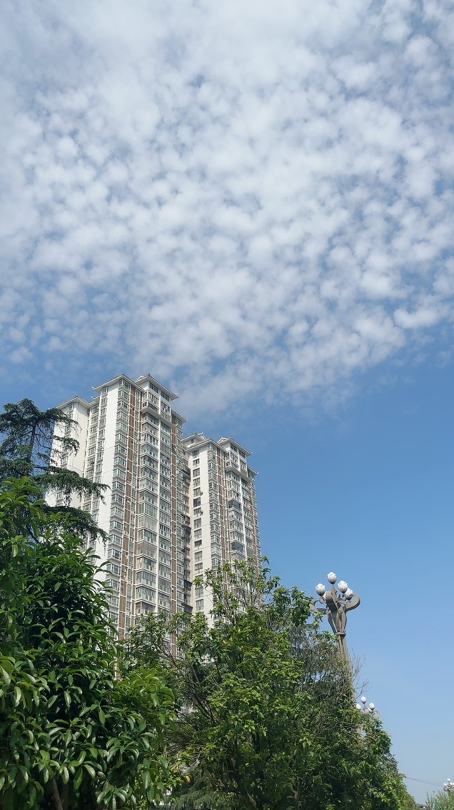 晓若停播一段时间的图片