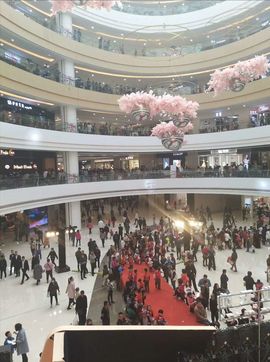 萌新~~主播照片