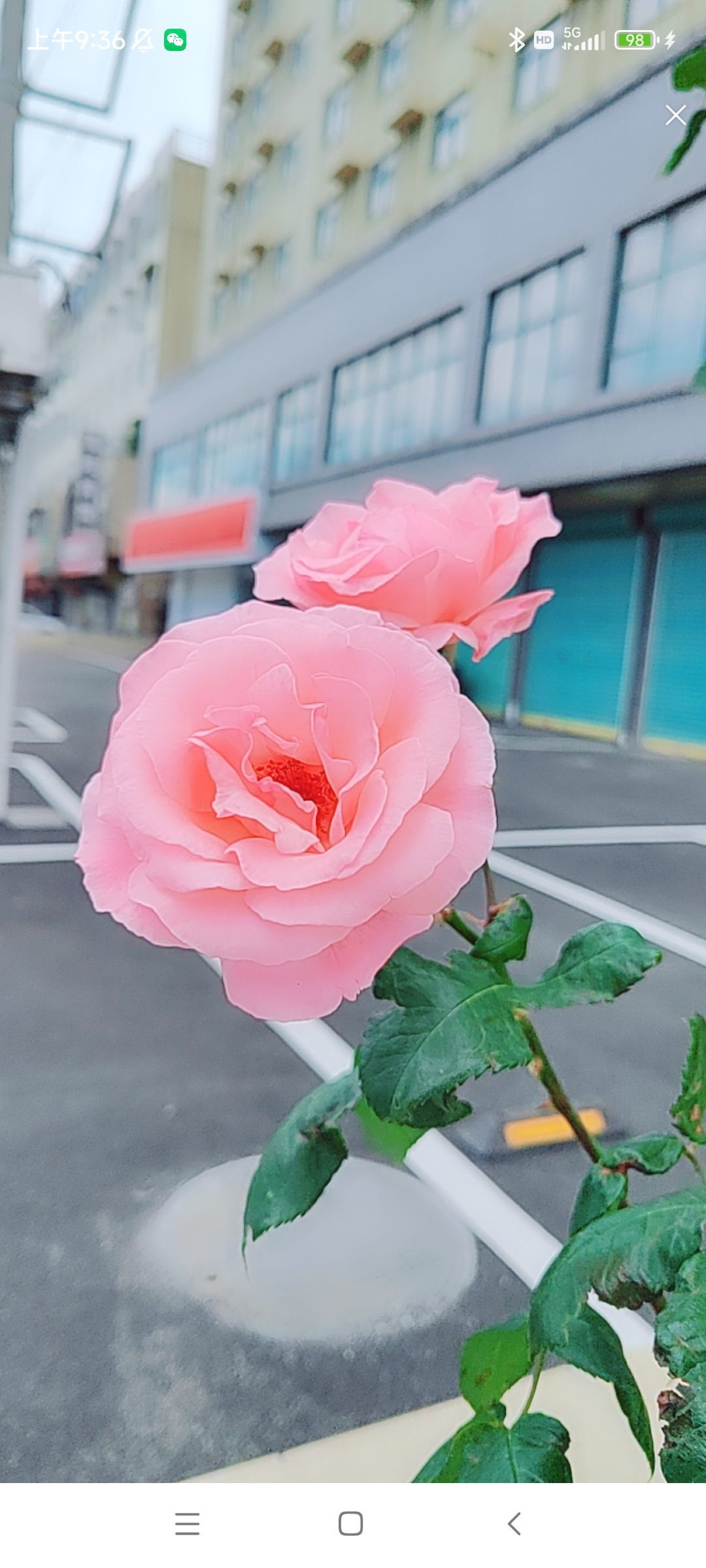 婷婷💕感恩有你陪伴的图片