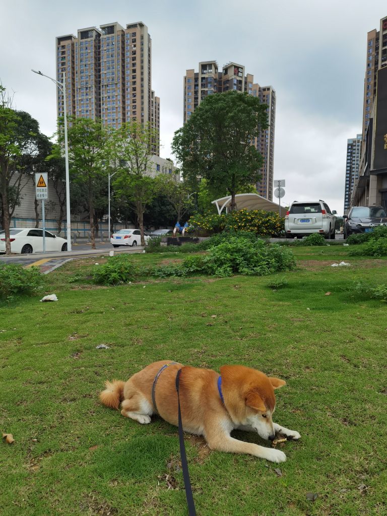 单纯宝宝的图片