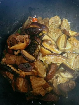 小雅代理ღ好运来主播照片