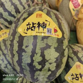 戰神大元帥黎歌主播照片