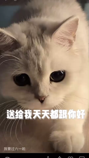 我还小😊