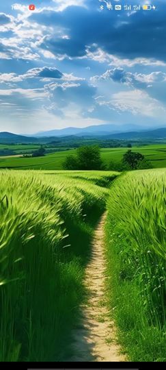 梦中的那首歌的图片