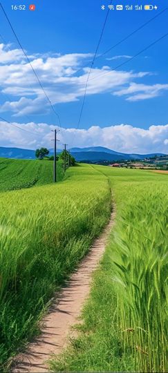 梦中的那首歌的图片