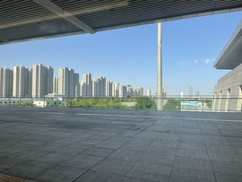 米奇去当包租婆主播照片