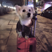 故人入我梦♥