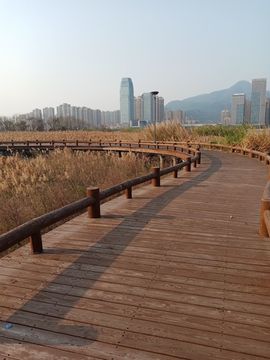 （顺势）的图片