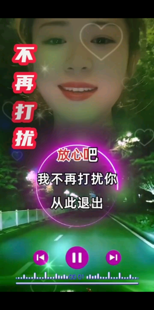 伤感歌曲《不再打扰》