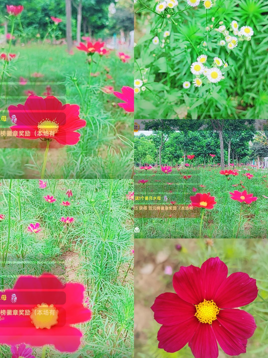 婷婷💕感恩有你陪伴的图片