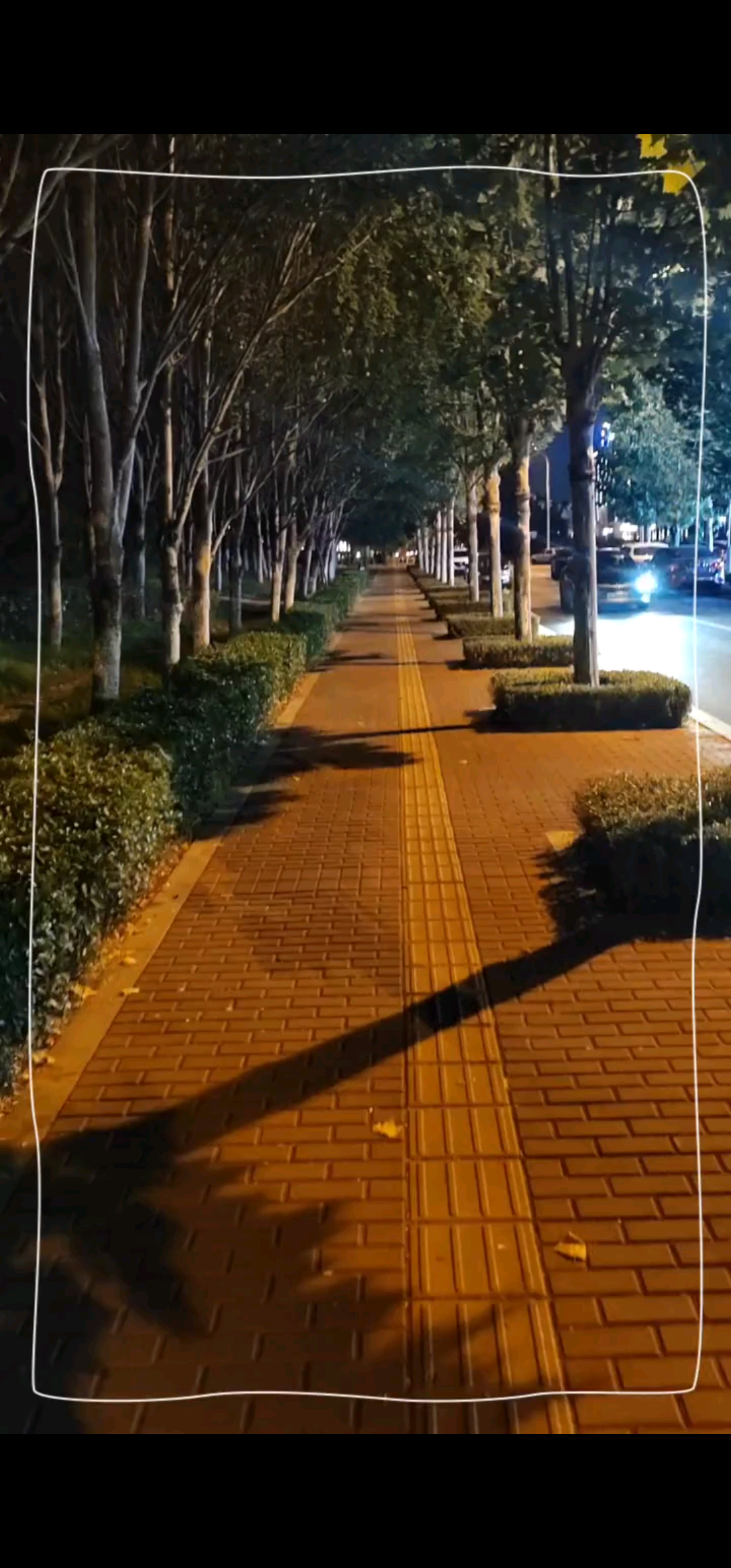 喜欢夜晚漫无目的的散