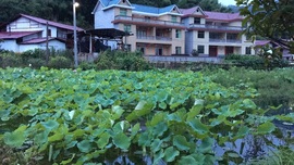 ～山水间🌴竹海～主播照片