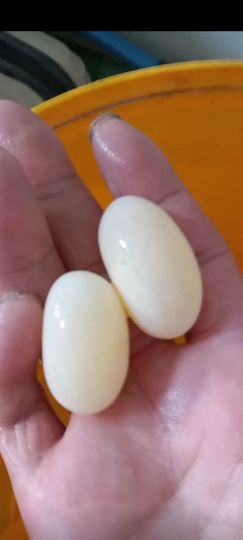 ！爱在远方！主播照片