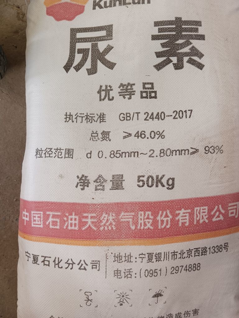 颖璐颖直播中主播图片