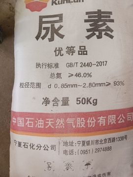 颖璐颖主播照片