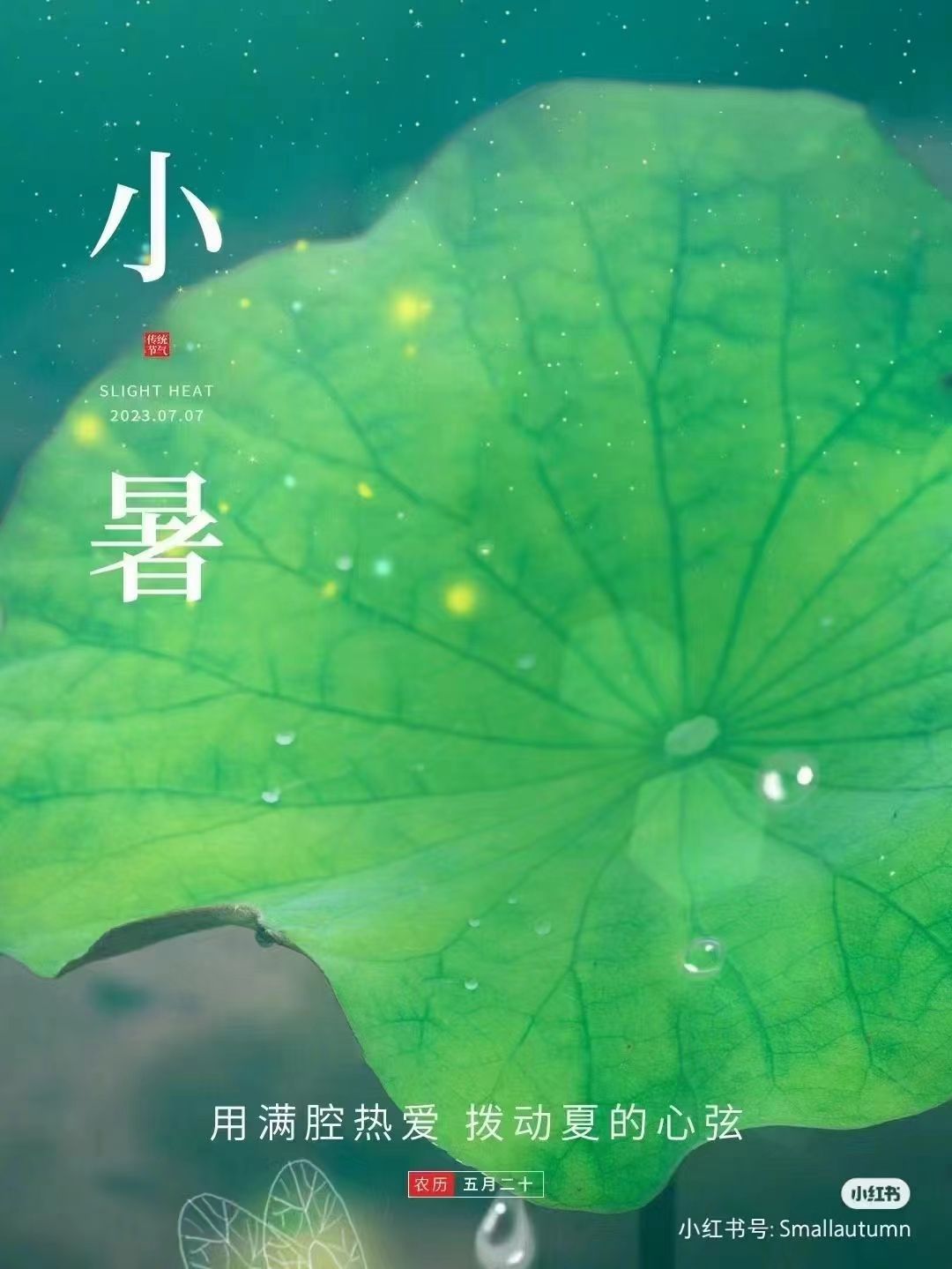 婷婷💕感恩有你陪伴的图片