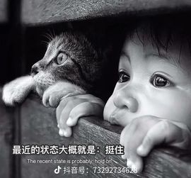 婷儿～所遇皆甜主播照片