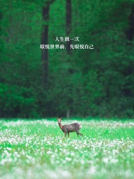 闰六月星空有约主播照片