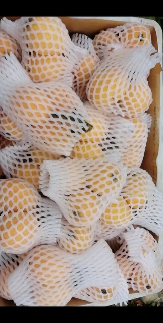 枇杷果