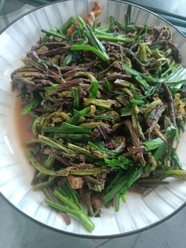 顺其自然可好呢，主播照片