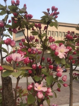 感谢…….主播照片