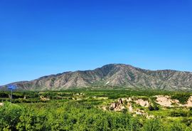 陌上╰.╯花开ღ主播照片