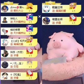 🌸嬛嬛吖主播照片