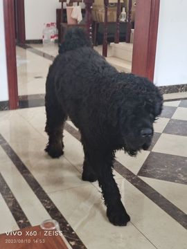 My*风景的图片