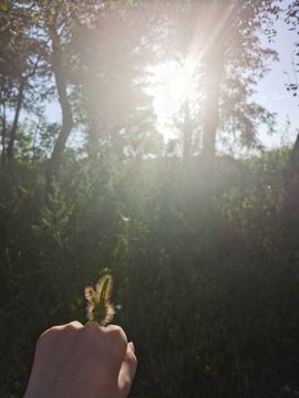 ღ瑋玮主播照片